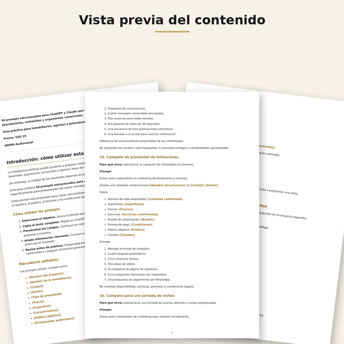 Vista previa del contenido