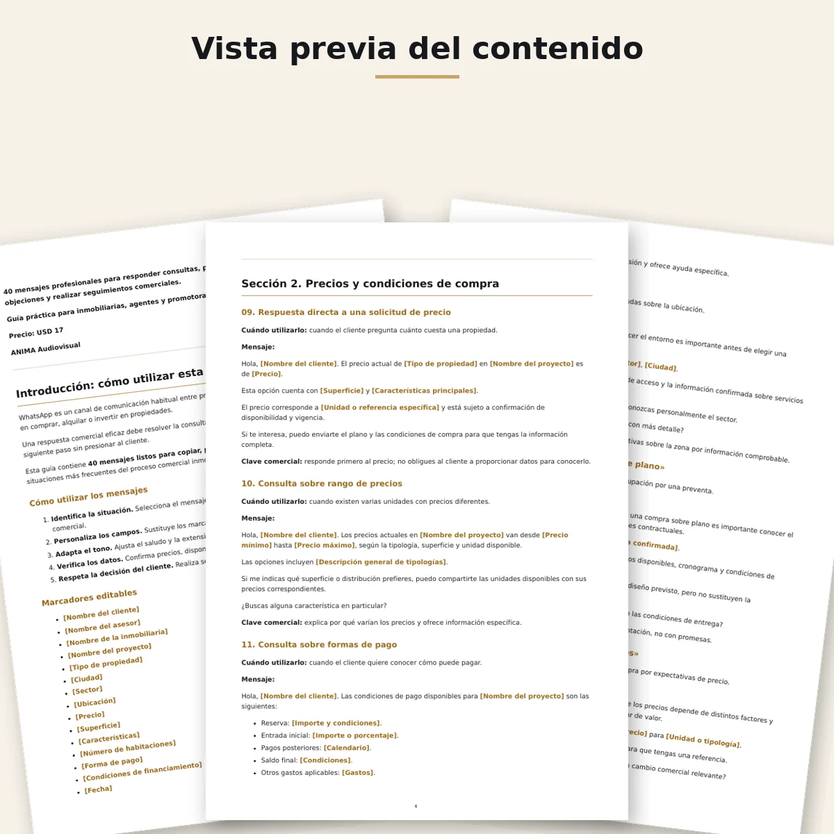 Vista previa del contenido